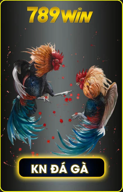 Hình kinh nghiệm đá gà
